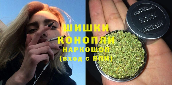 гашик Арсеньев