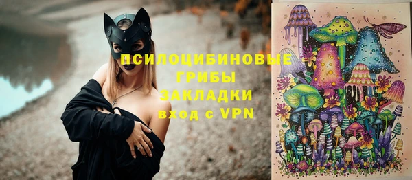 дмт Армянск