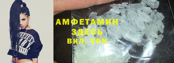 индика Алзамай