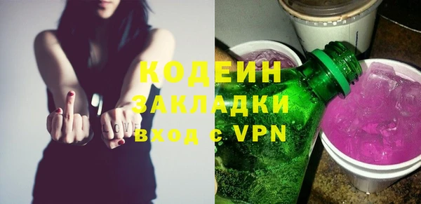 гашик Арсеньев