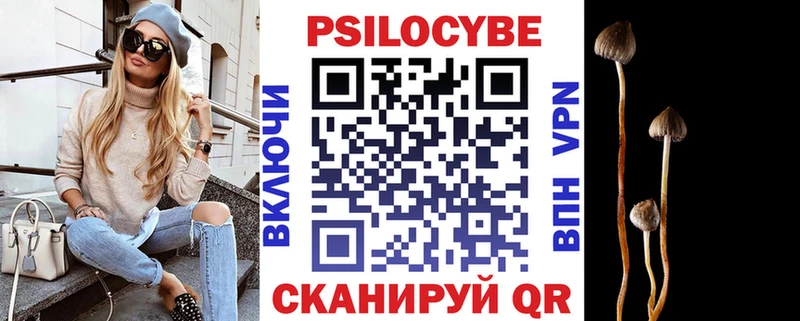 где продают наркотики Сясьстрой Галлюциногенные грибы MAGIC MUSHROOMS